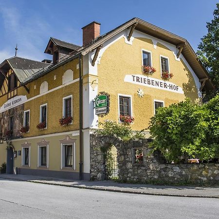 Triebenerhof Hotel Luaran gambar