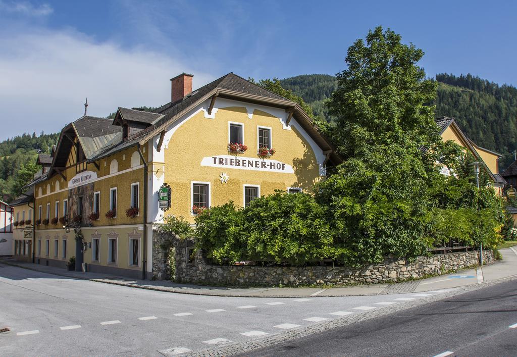 Triebenerhof Hotel Luaran gambar